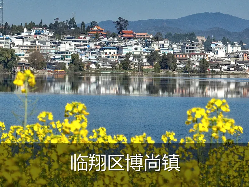 临翔区博尚镇