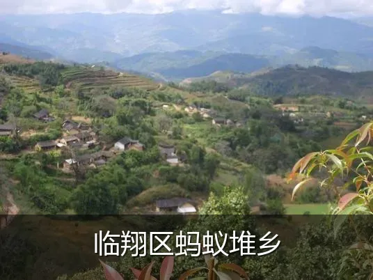临翔区蚂蚁堆乡